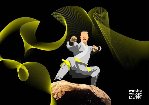 Sports Combat Orientaux Sur Fond Vagues Abstraites Illustration Vectorielle Colorée — Image vectorielle