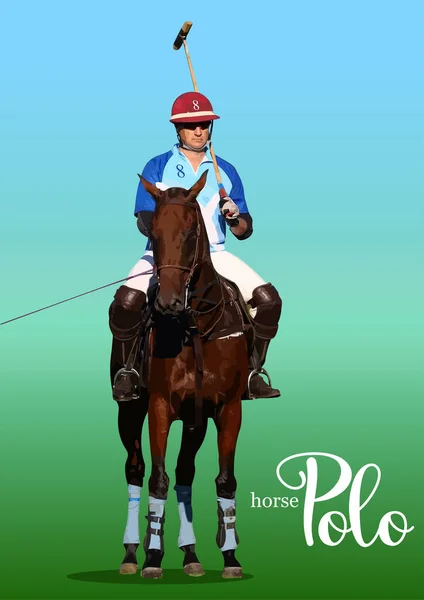 Image Polo Player Action Color Vector Illustration — Stock Vector