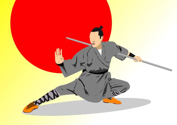 Orientalischer Kampfsport Farbige Vektor Illustration — Stockvektor