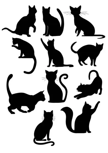 Siluetas Gatos Vector Ilustración Blanco Negro Gráficos vectoriales