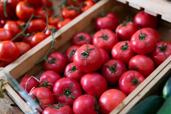 Oogst Van Rijpe Sappige Tomaten Een Krat Toonbank Koop Aangeboden — Stockfoto