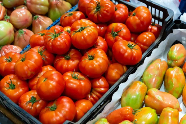 Gros Plan Plateaux Pleins Diverses Tomates Fraîches Vendre Supermarché — Photo