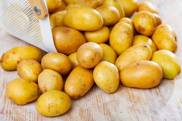Oogst Van Biologische Nieuwe Aardappelen Gegoten Uit Mand Veel Aardappelen — Stockfoto