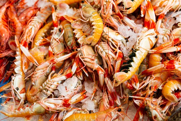Seafood Delicacy Heap Fresh Norway Lobster Ice — Stock Photo, Image