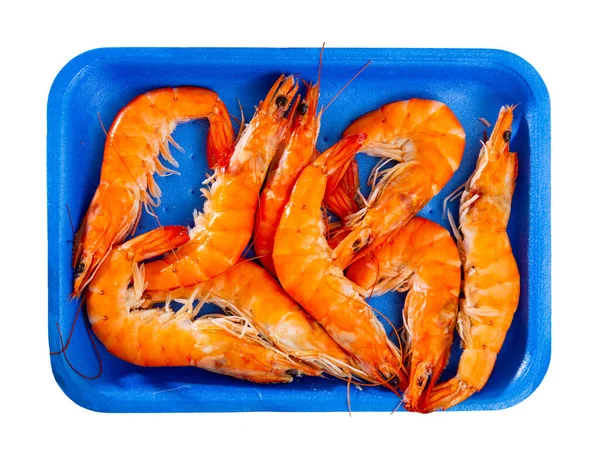 Blue Plastic Tray Defrosted Red Prawns Seafood Delicacies Cooking Ingredients — Stock Photo, Image