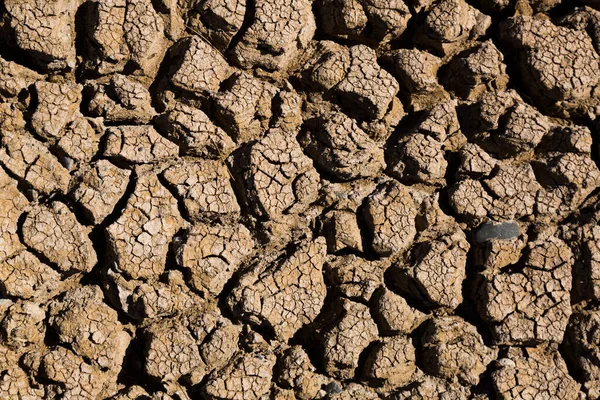 Close-up view of cracked desert-like ground under scorching sun