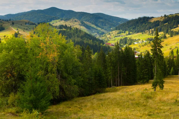 罗马尼亚布科维纳的Karpaty山风景图解 — 图库照片