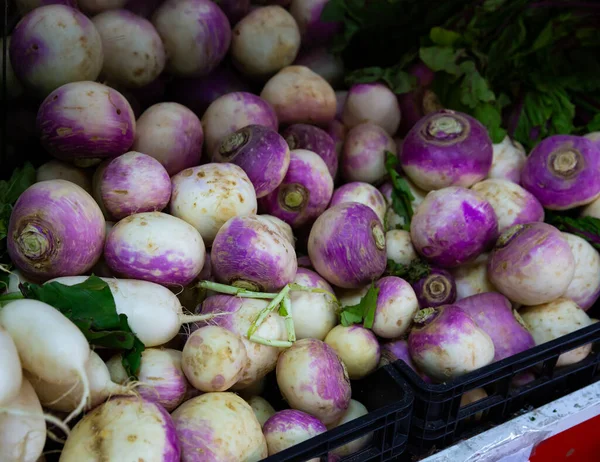 View Showcase Fresh White Radishes Purple Turnips Greengrocery — Stock Photo, Image