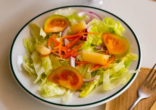 Chuťový Salát Zeleniny Míchaným Zelím Salátem Mrkví Cibulí Podávaný Čerstvými — Stock fotografie
