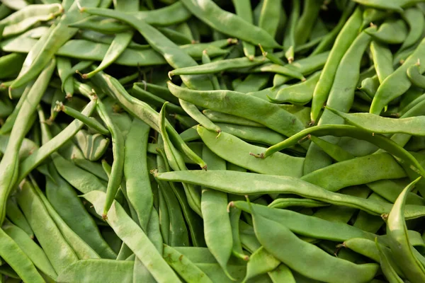 Lots Pods Green Beans Market Stall Sale Abundance Unripe Vegetables — Stock Photo, Image