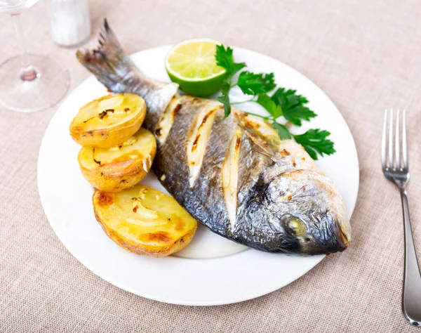 Cooked Gilt Head Bream Laid Plate Lime Parsley Potatoes — Stock Photo, Image