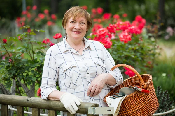Glad Mature Woman Gardener Having Horticultural Instruments Basket Summer Day — Stock Photo, Image