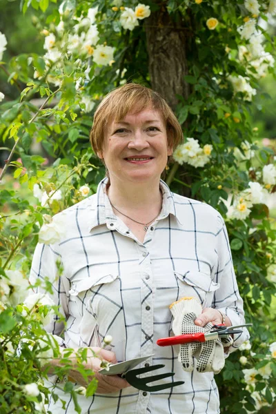 Smiling Senior Woman Gardener Holding Horticultural Tools Garden Sunny Day — Stock Photo, Image
