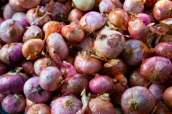 Świeże Cebule Sprzedaż Targu Rolniczym — Zdjęcie stockowe