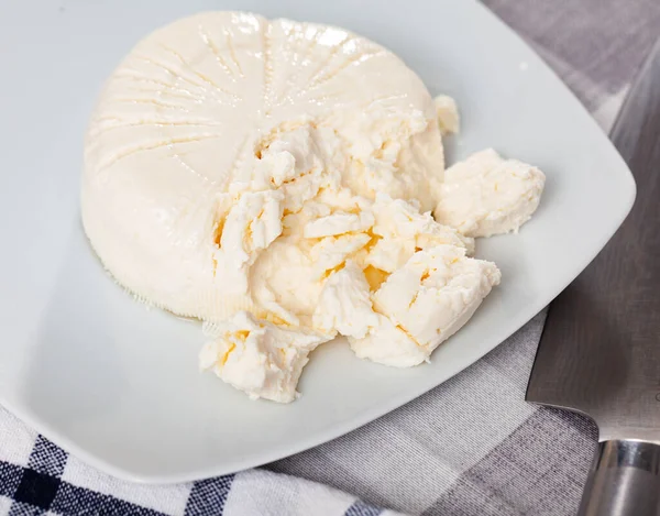 Piece Natural Brined Curd White Cheese Plate — Stock Photo, Image