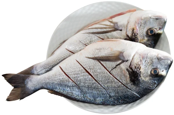 Two Raw Gilt Head Bream Laid Plate Isolated White Background — Stock Photo, Image
