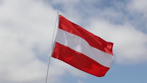 Große Auf Metallstäben Befestigte Österreich Fahne Weht Tagsüber Vor Wolkenverhangenem — Stockvideo