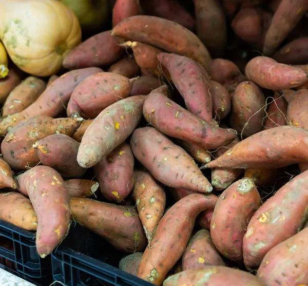 ファーマーズマーケットの箱の中で生のサツマイモ — ストック写真