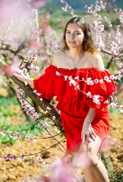 Pozytywne Ładna Europejka Kobieta Czerwonej Sukience Stoi Pobliżu Kwitnącej Brzoskwini — Zdjęcie stockowe