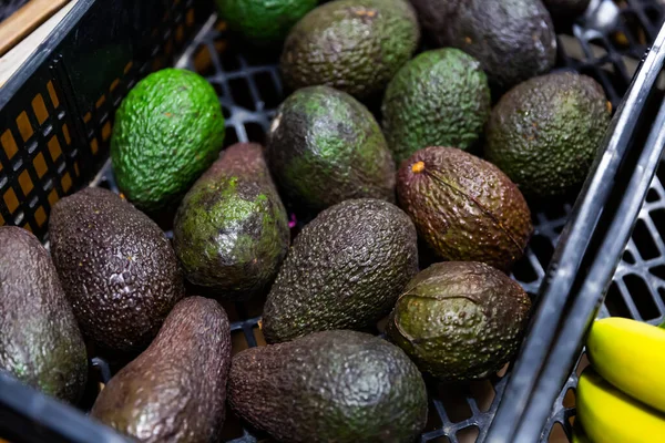 Close Van Hass Avocados Met Typische Donkergroene Hobbelige Huid Markt — Stockfoto