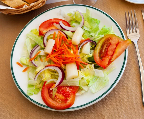 Domates Havuç Diğer Sebze Salataları Yakın Plan — Stok fotoğraf