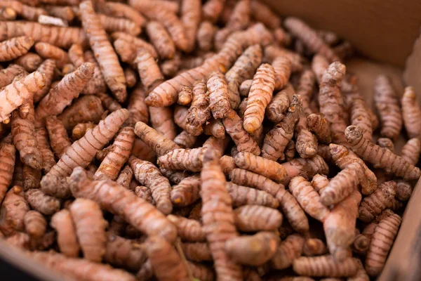 Closeup Dried Turmeric Rhizomes Natural Food Background Popular Seasoning Worldwide — Stock Photo, Image