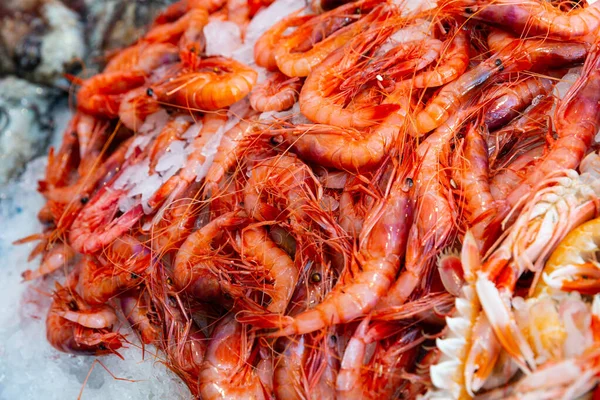 Gros Plan Crevettes Crues Fraîches Sur Glace Concassée Dans Affichage — Photo