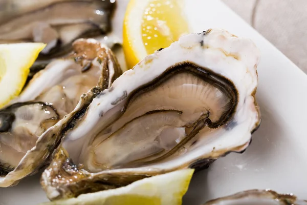 Delicious Fresh Oysters Shell Served Lemon — Stock Photo, Image
