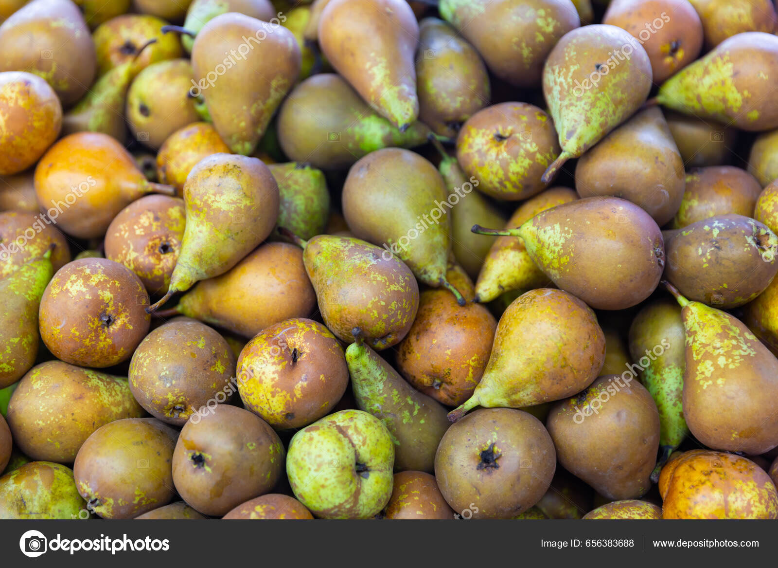 Fresh organic pears background. Ripe yellow large pears in wooden