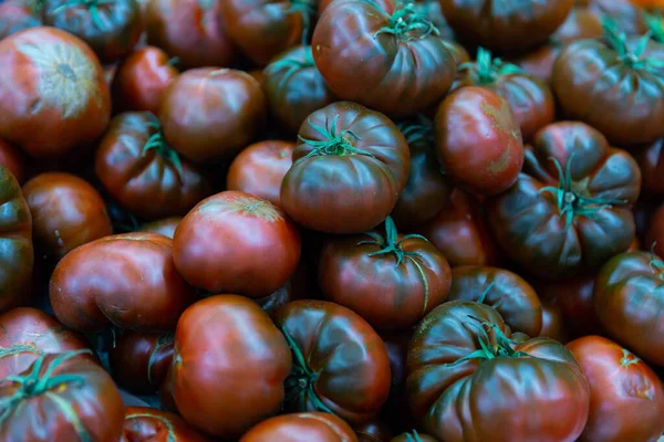 Tomates Mûres Variété Negros Mises Vente Comptoir Supermarché Image Gros — Photo