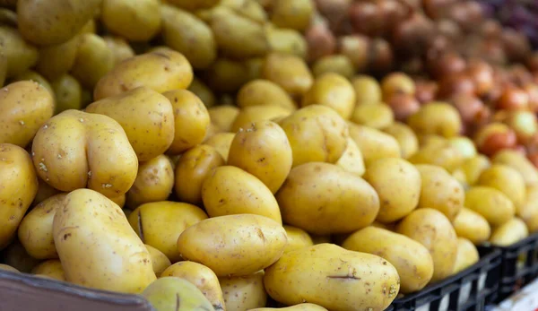 市場の屋台でクレートでソートされた新鮮なジャガイモの豊富 — ストック写真