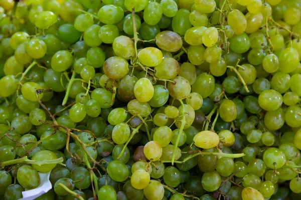 Fresh White Grapes Tassels Closeup Background — Stock Photo, Image