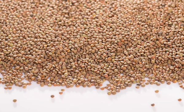 Natural Background Dried Lentil Seeds White Surface Healthy Eating — Stock Photo, Image
