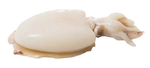 Beyaz Arkaplanda Izole Edilmiş Ham Sepia Resmi Kapat — Stok fotoğraf