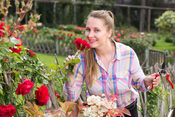 Feliz Joven Europea Mujer Con Pelo Largo Rizado Huele Rosas — Foto de Stock