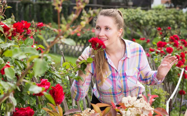 Sonriente Joven Con Pelo Largo Rizado Huele Rosas Flor Aire —  Fotos de Stock