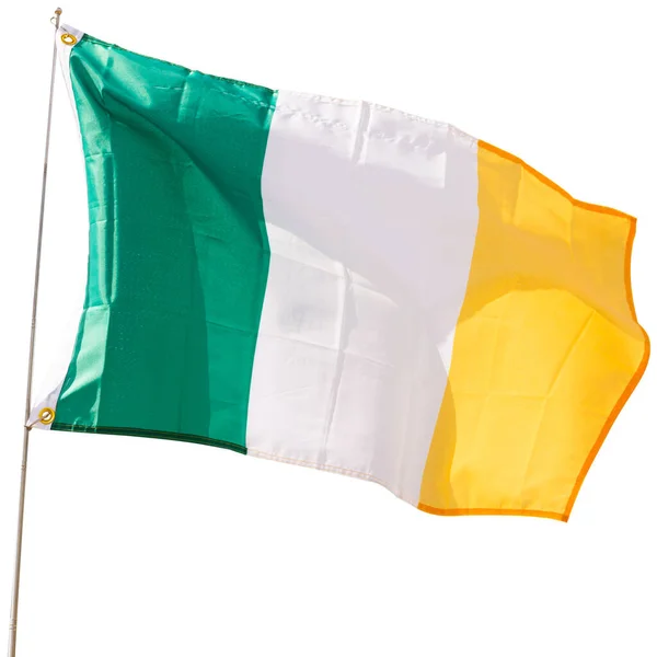 Великий Прапор Ірландії Махає Ізольовані Білому Тлі — стокове фото