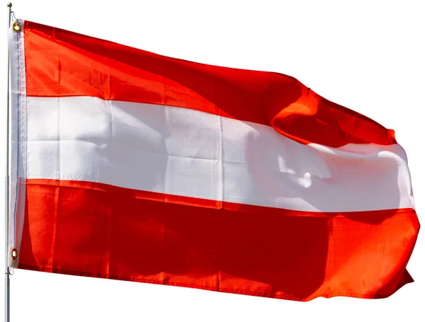 Velká Rakouská Vlajka Upevněná Kovové Tyči Mávající Izolované Přes Bílé — Stock fotografie