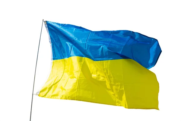ウクライナの青と黄色のフラグは 黄金の麦畑や収穫なびかせを表す国家天然資源 誇りと遺産のシンボル 白地に隔離された — ストック写真