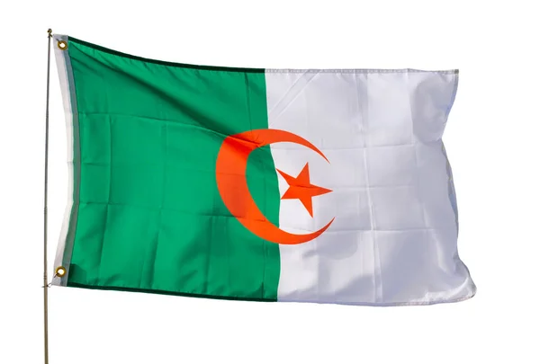 Μεγάλη Σημαία Αλγερίας Κυματίζει Απομονωμένα Λευκό Φόντο — Φωτογραφία Αρχείου
