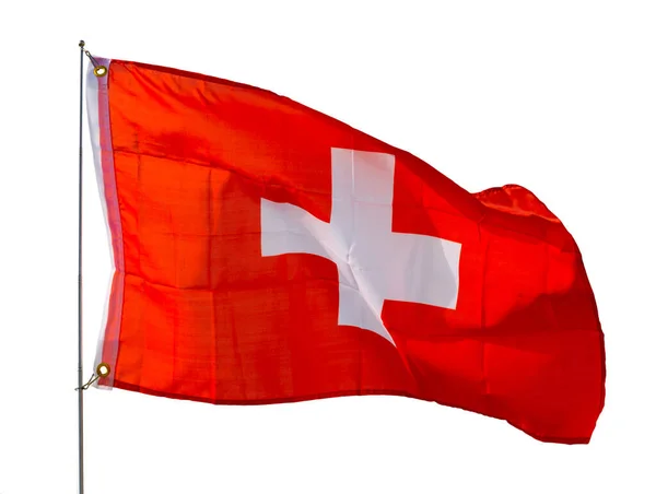 Zwitserse Vlag Wappert Trots Wind Geïsoleerd Witte Achtergrond — Stockfoto