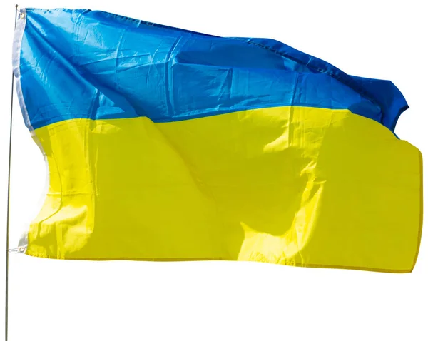ウクライナの青と黄色の旗 国家天然資源 誇りと遺産のシンボルは 黄金の小麦畑や収穫旗竿になびかせを表す 白地に隔離された — ストック写真