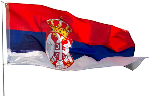Bandeira Sérvia Voar Isolado Sobre Fundo Branco — Fotografia de Stock