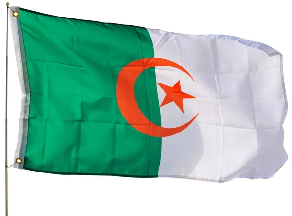 Große Algerische Flagge Weht Isoliert Über Weißem Hintergrund — Stockfoto