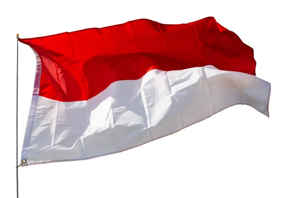 Bandeira Indonésia Voa Orgulhosamente Vento Isolado Sobre Fundo Branco — Fotografia de Stock