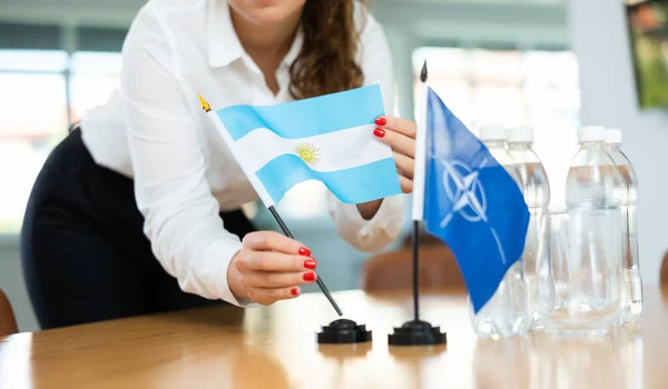 Young Female Assistant Setting Nato Argentinian Flags International Negotiations — Stock Photo, Image