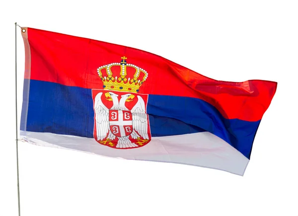 Bandeira Sérvia Treme Vento Isolado Sobre Fundo Branco — Fotografia de Stock