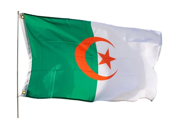 Große Algerische Flagge Weht Isoliert Über Weißem Hintergrund — Stockfoto