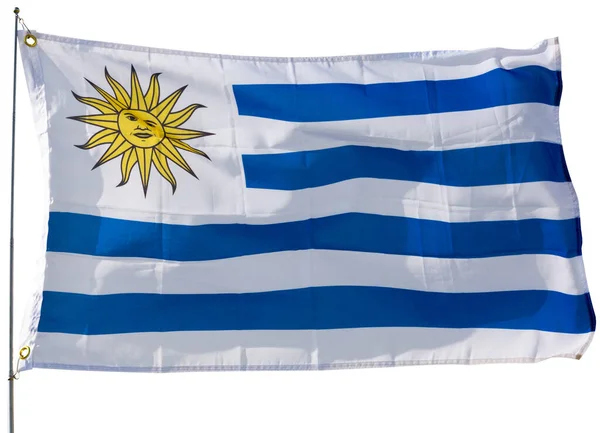 Grande Bandiera Uruguaiana Sventola Isolato Sfondo Bianco — Foto Stock