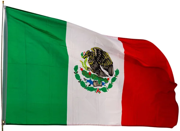 メキシコの旗を振って 白地に隔離された — ストック写真